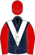 Dark blue, white chevron, red sleeves and cap