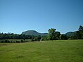Benaughlin viewed from the Florence Court estate in mid-summer