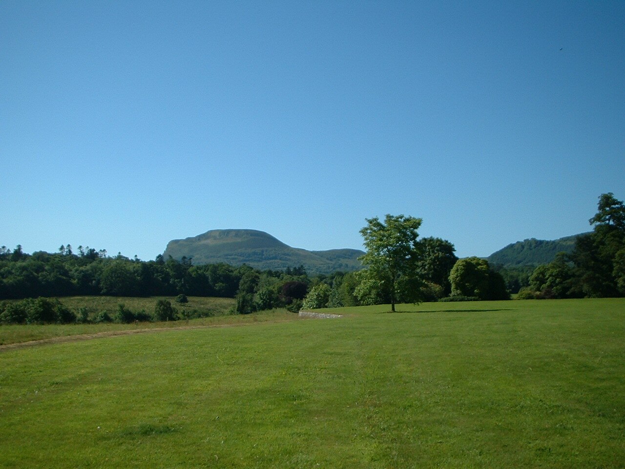 Benaughlin Mountain from Florence Court.jpg