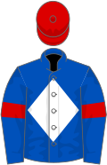 Royal blue, white diamond, royal blue sleeves, red armlets, red cap
