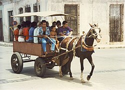Public transportation in Cuba during the Special Period (1991–2000)