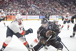 Ice hockey players in Coachella Valley Firebirds and Hershey Bears jerseys skating