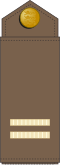 Nooremseersant (Estonian Ground Forces)[7]