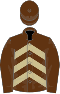 Brown, beige chevrons, brown sleeves and cap
