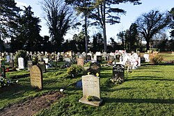 View of cemetery