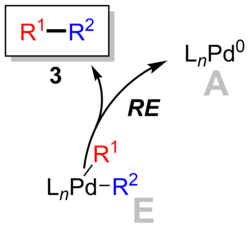 Reductive elimination step in the catalytic cycle of Suzuki reaction.