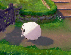 A Wooloo (depicted as a short, round sheep) rolling into a fence.