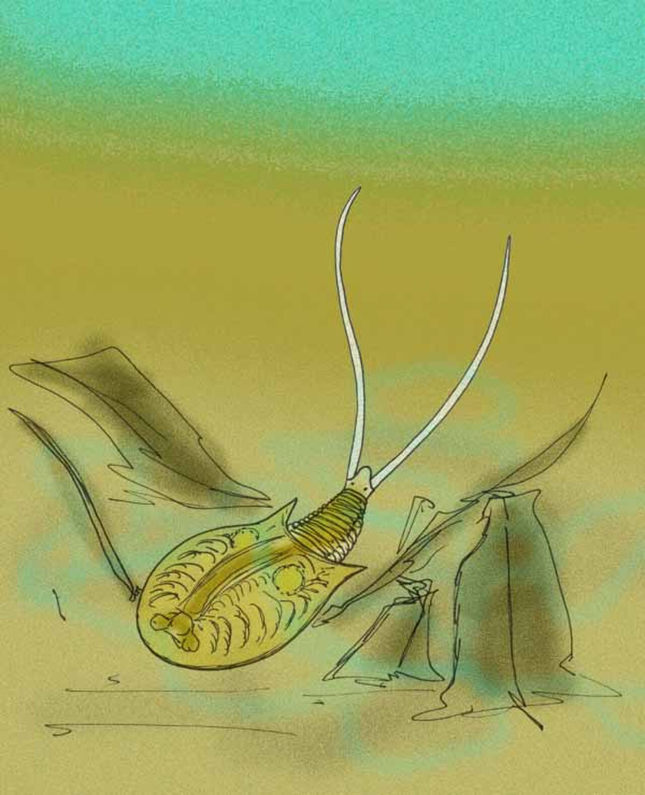 Chenops yixianensis.jpg