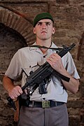 A Turkish gendarme with an MP5A3 at Topkapı Palace in Istanbul.