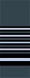 Marshal of the RAF sleeve insignia