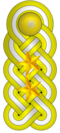 Venezuela (Teniente Coronel)