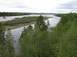 Pasvik Zapovednik