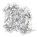 Tacrine bound to acetylcholinesterase (PDB 1ACJ). A pi stacking interaction between tacrine (blue) and Trp84 (red) is proposed