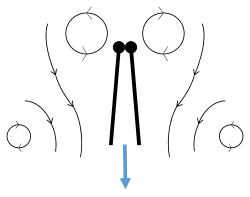 Clap 3: trailing edges close, vortices shed, wings close giving thrust