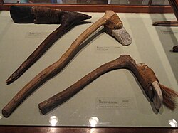 Adzes, Marshall and Yap Islands – Pacific collection – Peabody Museum, Harvard University