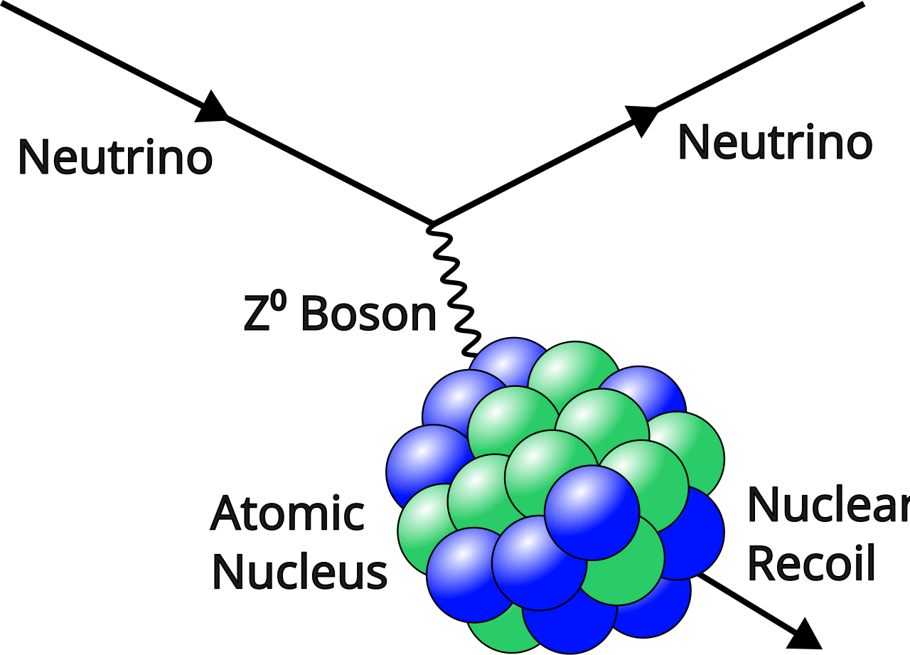 Coherent elastic neutrino-nucleus scattering.svg