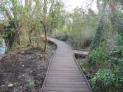 The boardwalk in the Trap Grounds.