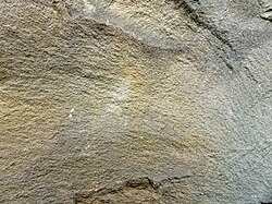 A greywacke rock