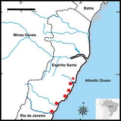 A distribution map of the eastern coast of Brazil. Several small circular markers indicate species occurrences along the coastline, with one prominent white star symbol marking a specific point designated as the type locality.