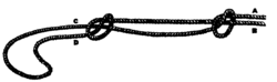 Diagram of a fisherman's knot with a loop on one end published in the Alpine Journal in 1865.