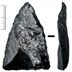 A thin, black triangular rock