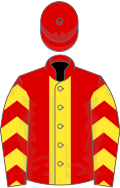 Red, yellow stripe, chevrons on sleeves