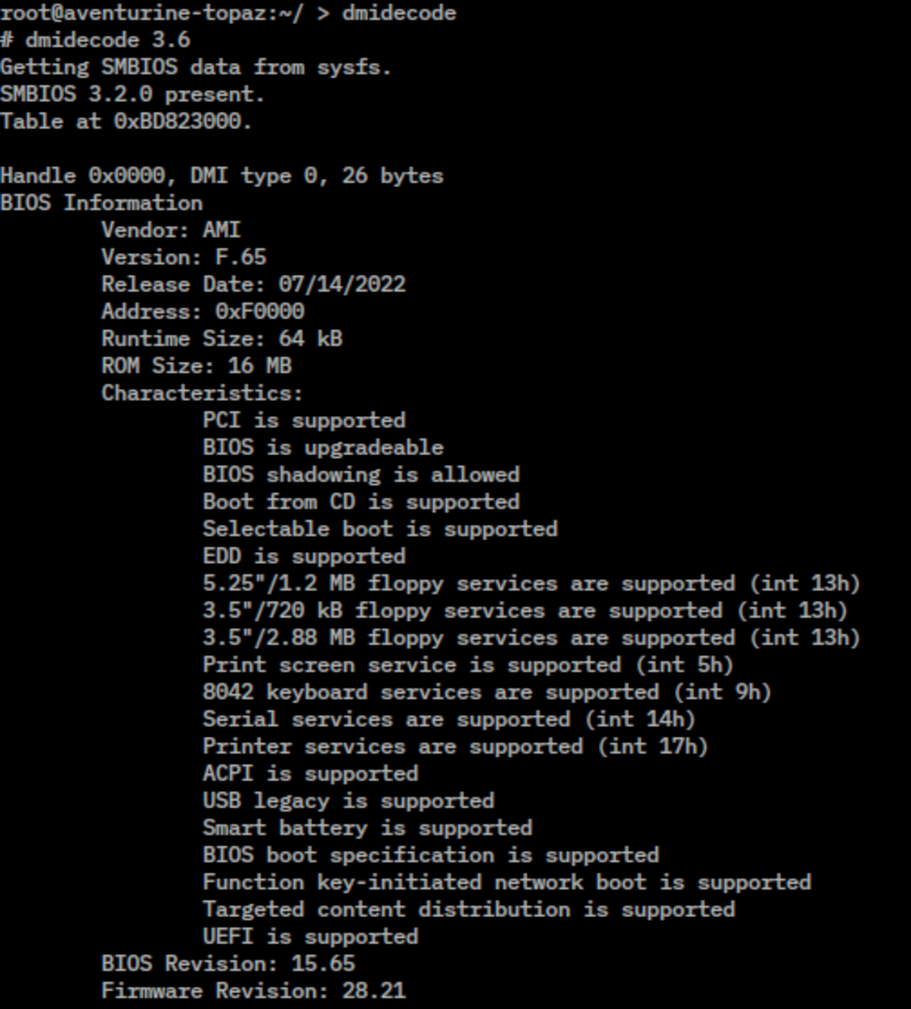 Example of dmidecode screenshot.png