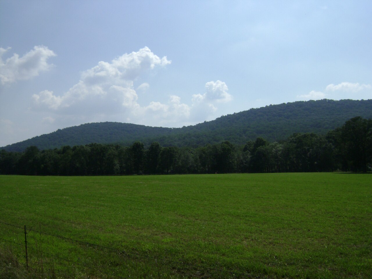 CushetunkMountain NESlope.JPG