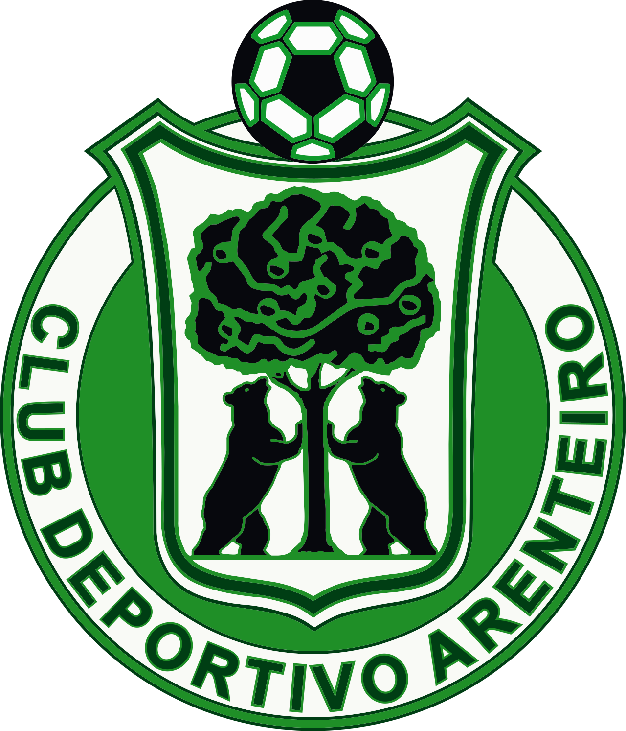 CD Arenteiro logo.svg