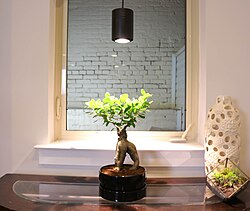 A small ficus plant being grown under a black LED light fixture emitting warm white light