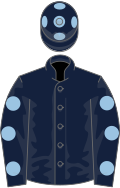 Dark blue, light blue spots on sleeves and cap