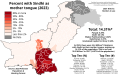 Percent speaking Sindhi natively