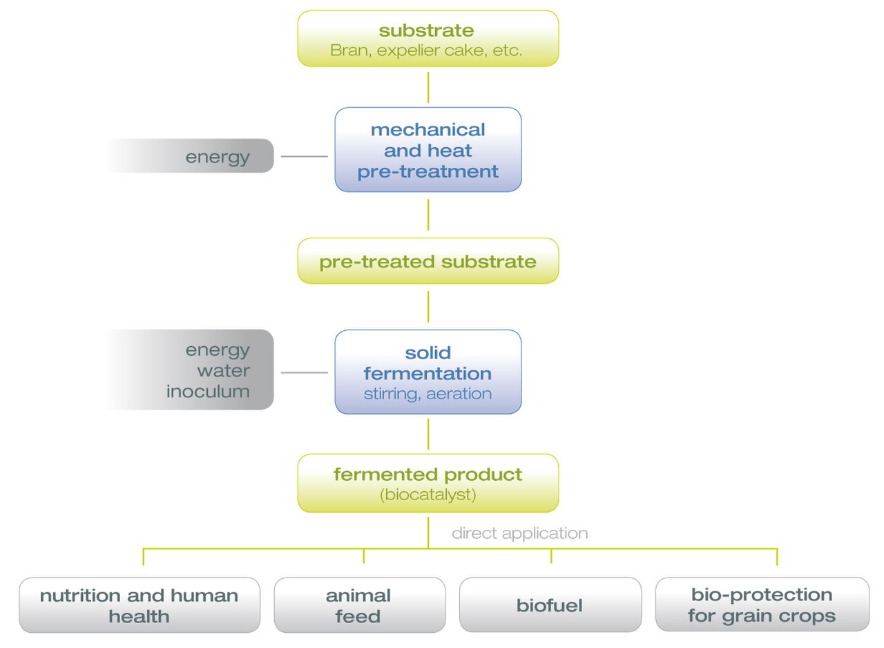 Schema FMS En.jpg