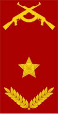 Brigadeiro (Angolan Army)[4]