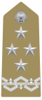Generale (Italian Army)[19]
