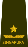 Brigadier general (Singapore Army)[48]