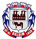 Coat of arms of Baldim