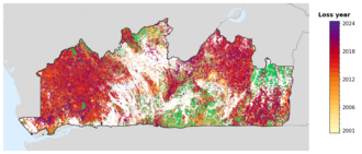 Map of Kongo Central showing tree-cover loss years, with forest remaining since 2000 in green and loss years shaded yellow through purple.