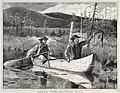 Trapping in the Adirondacks (1870) by Winslow Homer