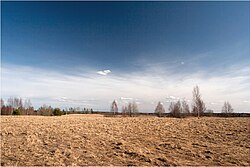 Koikküla, after a long winter, 2011