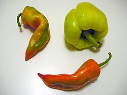 There are various peppers which are called paprika in Hungarian but aren't used for the spice production.