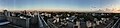 Chetpet View