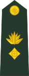 Bangladesh Army (Lieutenant Colonel)