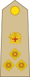 Brigadier (Jamaican Army)[18]