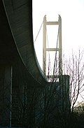 View from the north bank under the road