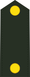 Adjudant-onderofficier (Royal Netherlands Army)[6]