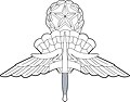 US Military Master Free Fall Parachutist Badge