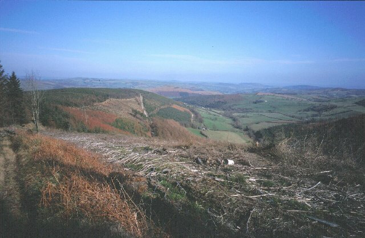 Radnor Forest - geograph.org.uk - 7791.jpg