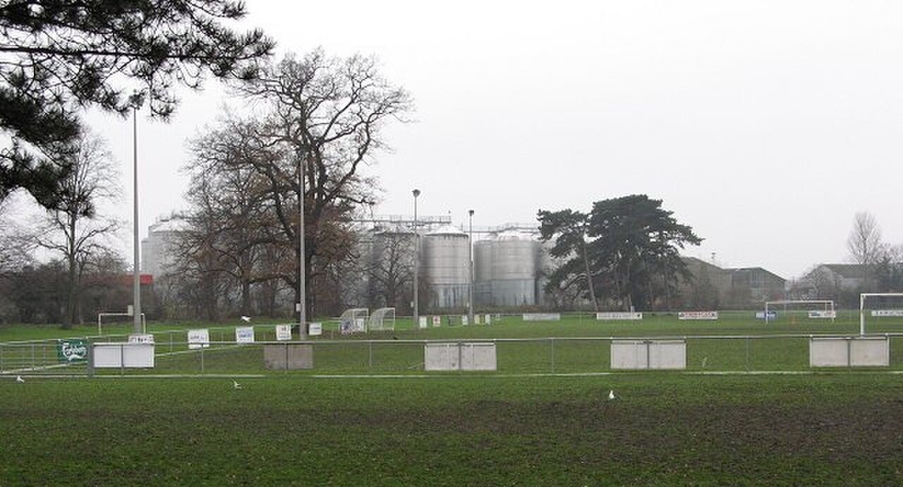 Widemarsh Common.jpg