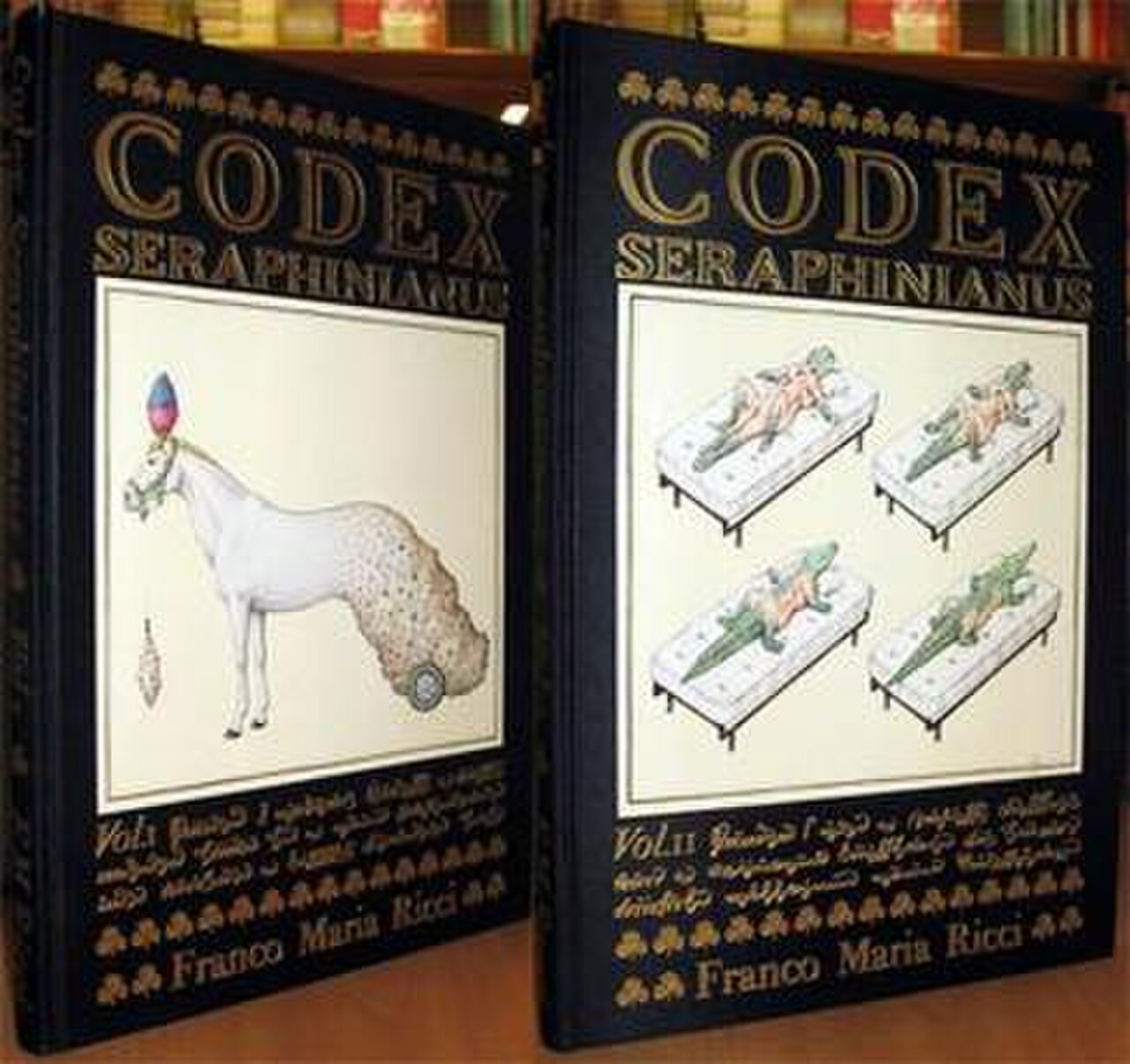 Codex-seraphinianus-2vol.jpg